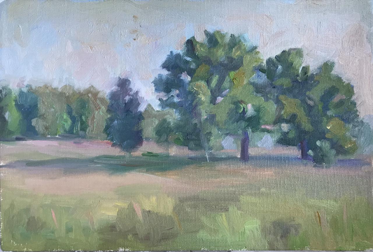 Evening Trees