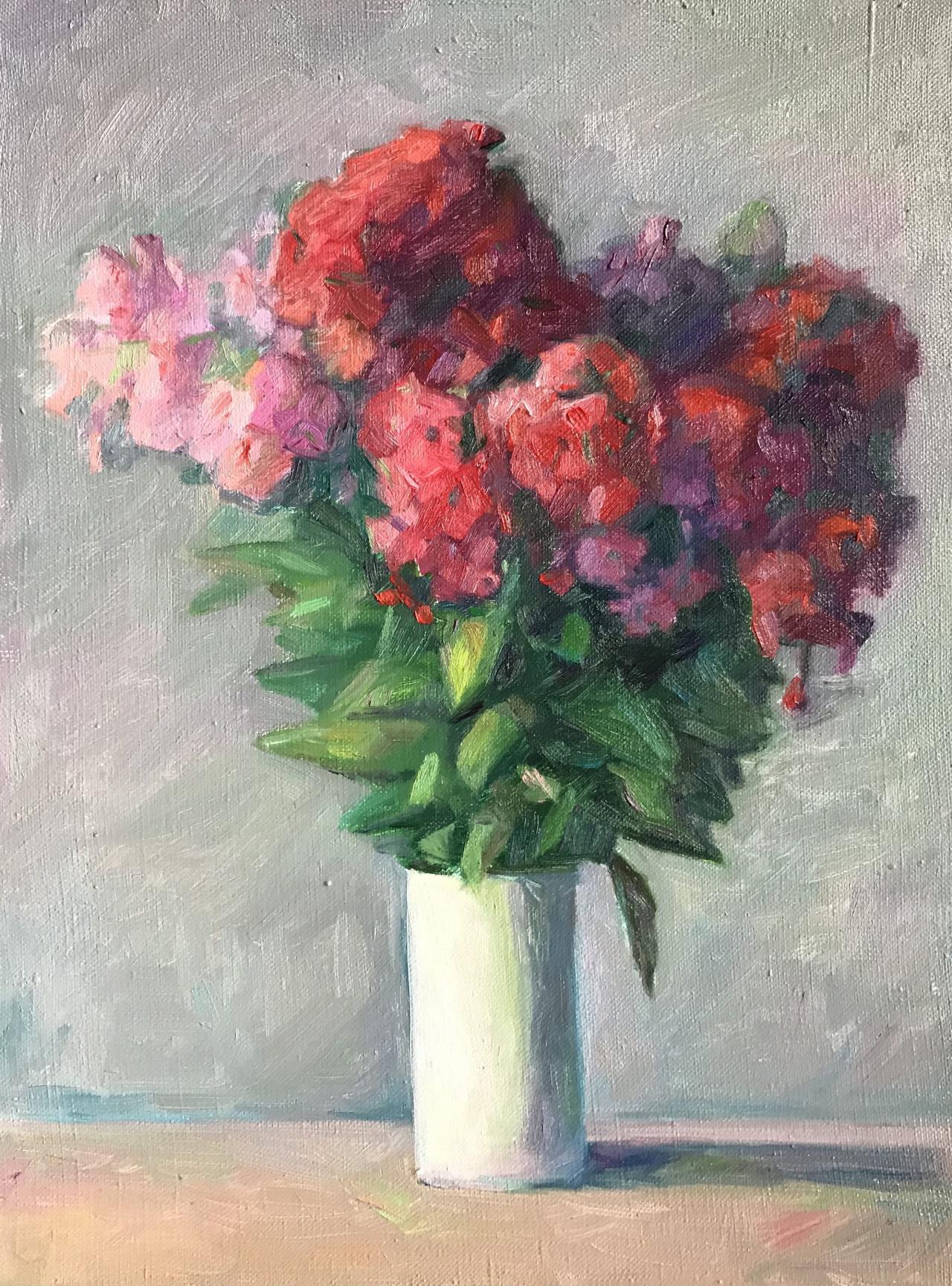 Phlox
