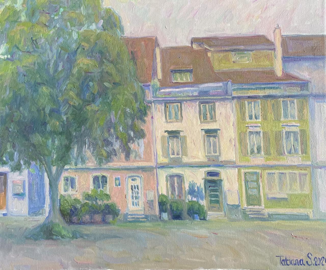 View of Pretty Houses in Baden