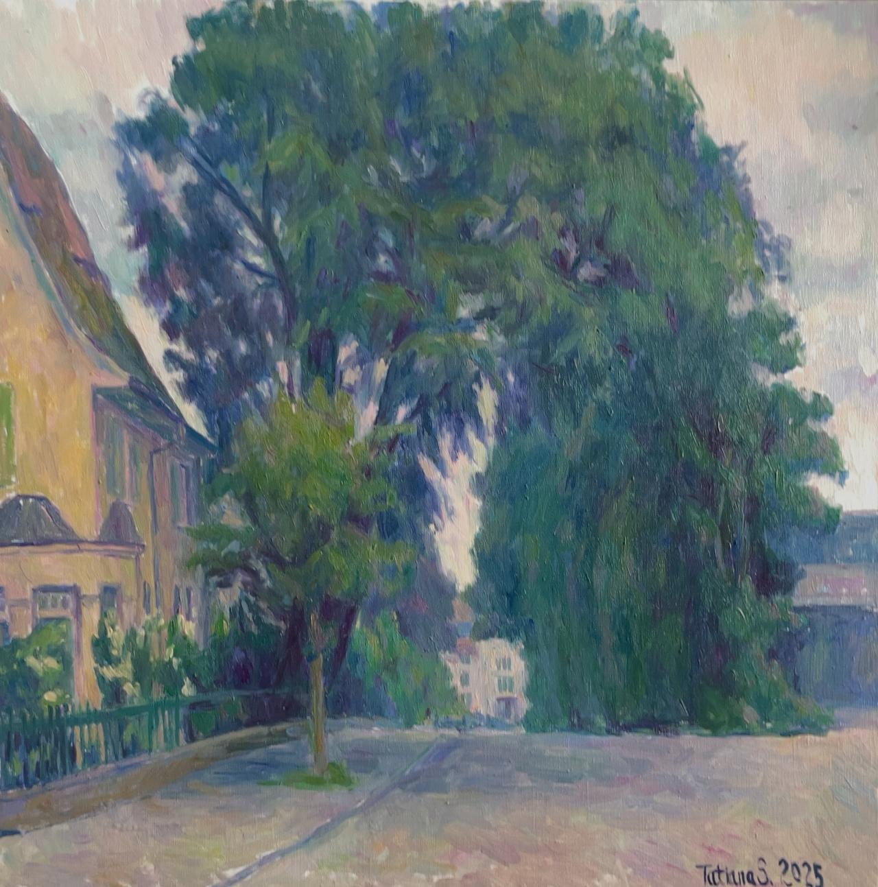 Oberstadt Baden - Cloudy Weather